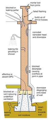 Descending Damp