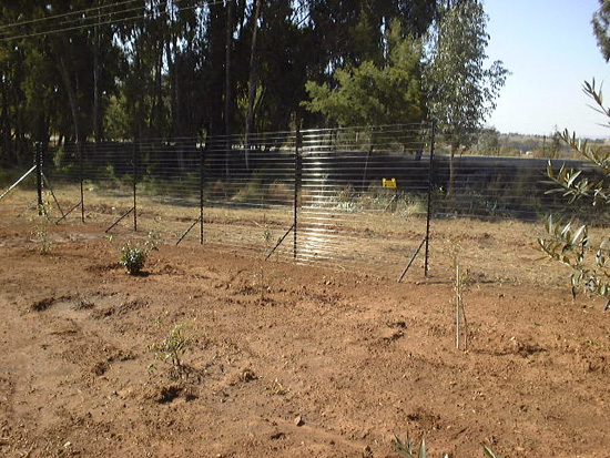 Arrowhead Security Fencing Systems | Fence