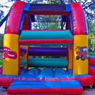 Jumping Castle for Sale