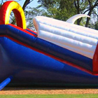 Shark Slide Jumping Castle for Sale