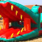 Crocodile Jumping Castle for Sale