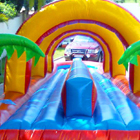 Surf Slide Jumping Castle for Sale