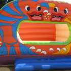 Fish Dome Jumping Castle for Sale