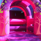 Little Miss Jumping Castle for Sale