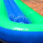 Waterslide Jumping Castle for Sale